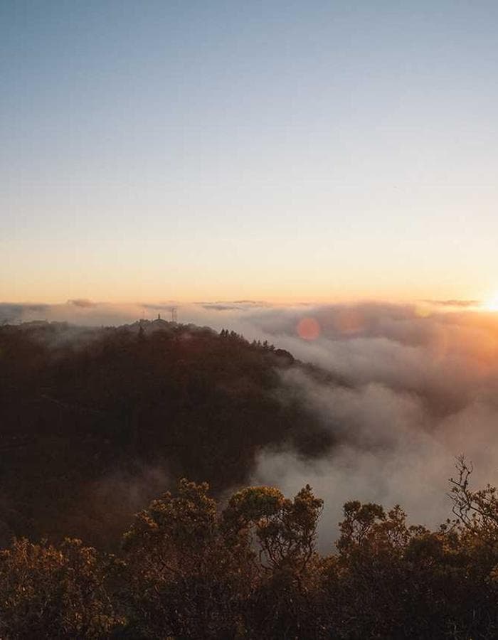 Sv. Vlaho — zaštitnik Dubrovnika